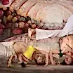 Kimler Capoeira Yapabilir? Capoeira Ne Kadar Zamanda Öğreenilir?