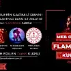 Flamenko Kursu Fiyatları – Erken Kayıtta %50 İndirim